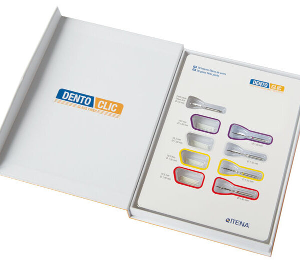 TENONS FIBRE VERRE TRANS. (5)DENTOCLIC