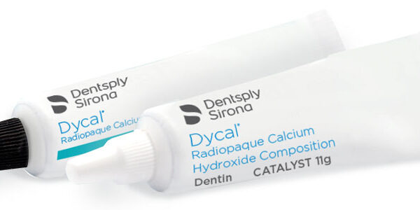 DYCAL BOITE DE 2 TUBES