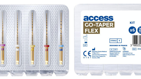 Limes stériles Go-Taper Flex Blister de 6