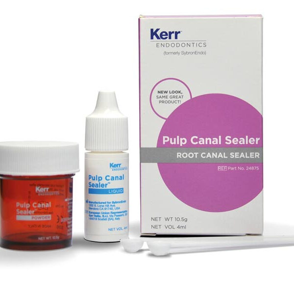 Pulp Canal Sealer COFFRET REGULAR