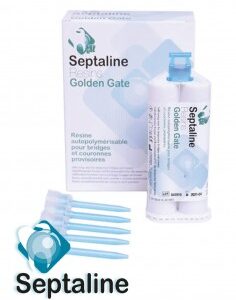 Golden Gate Resine Couronne Et Bridge 56gr