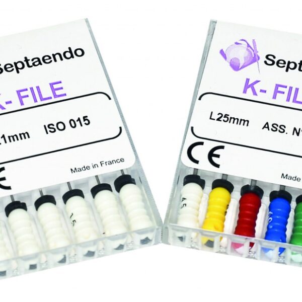 LIME ENDO K FILE 21MM